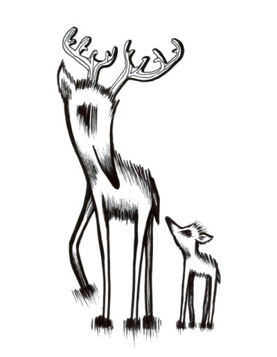 Dear Deer illustration on Mysterious Studio