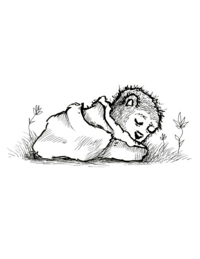 Sleepy Bear illustration on Mysterious Studio